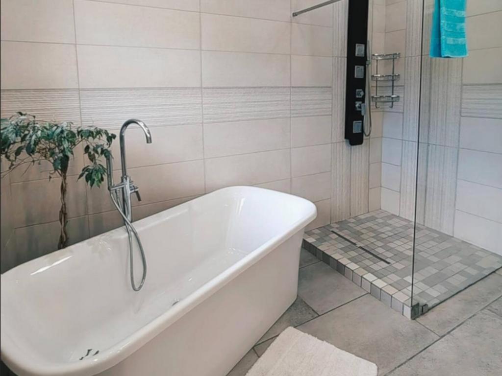 Aviators Paradise Guest House 모젤베이 외부 사진